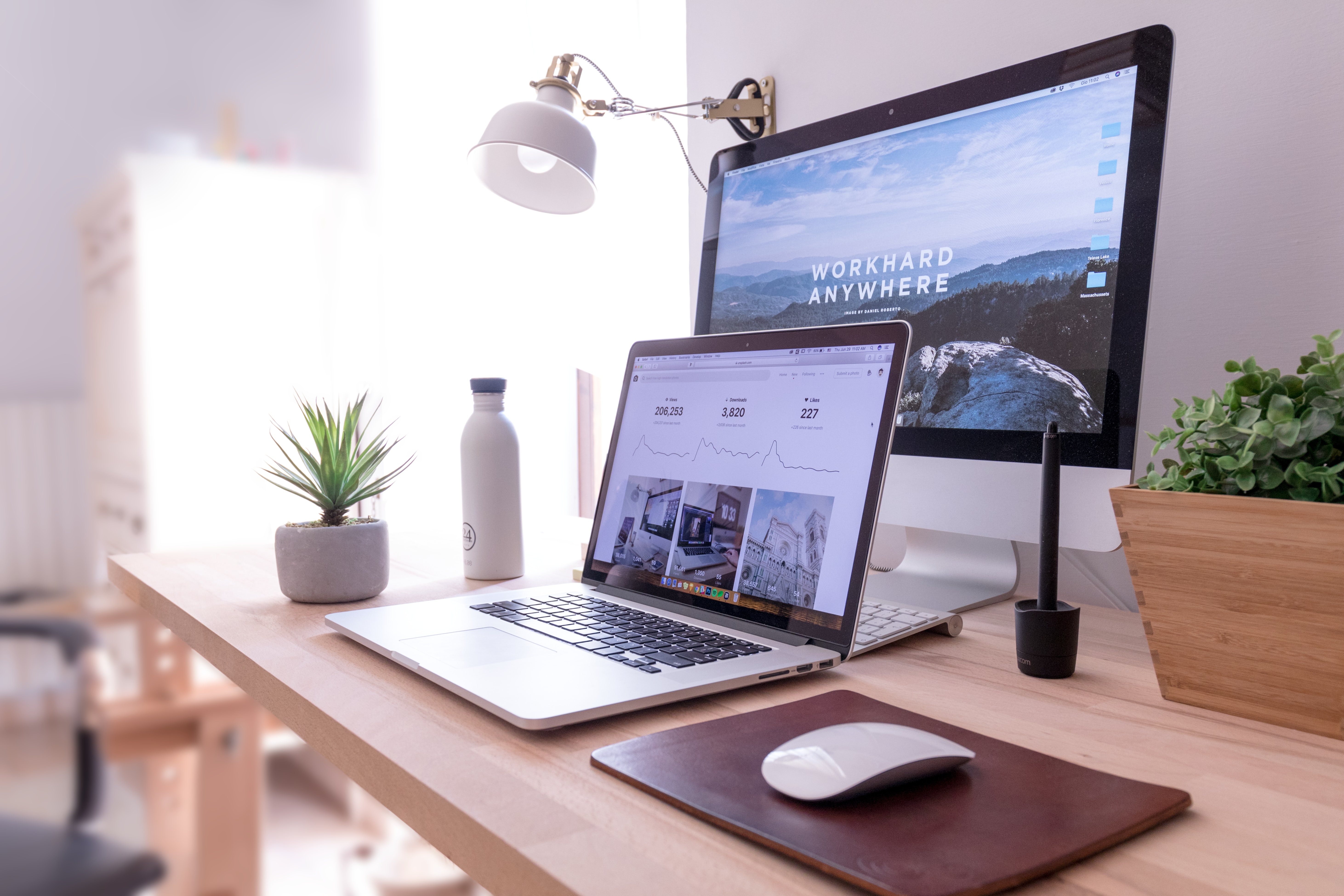 web designing in jalandhar
